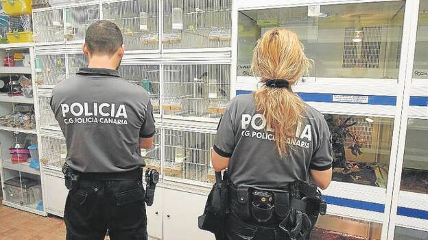 Canarias blinda su futuro frente a la invasión de especies exóticas