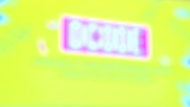 Amaral, cabeza de cartel del festival DCode de 2019