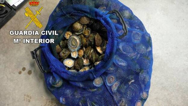 Denunciados por pesca ilegal en Gran Canaria