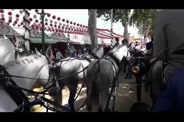 Paseo de caballos en la Feria de Abril