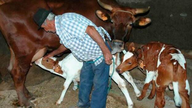 Historia ganadera del oeste grancanario