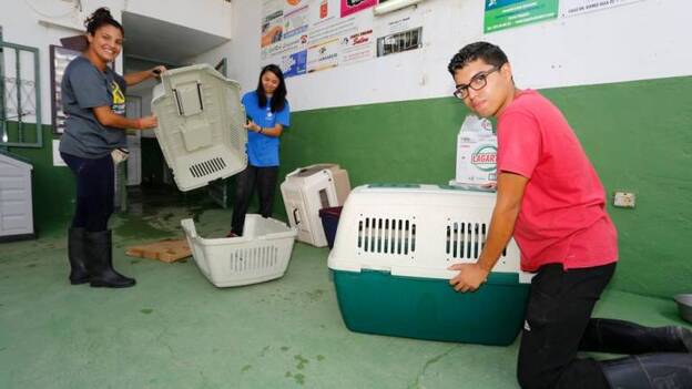 Fotos para ayudar a Sara