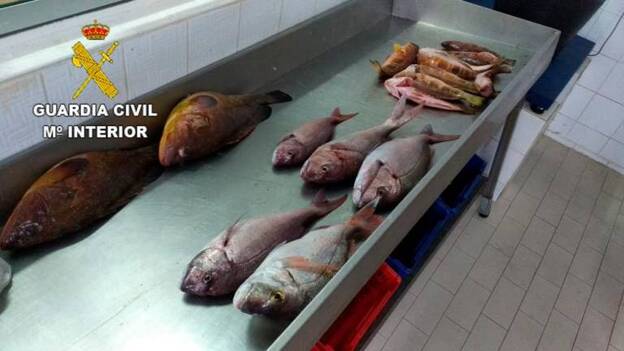 La Guardia Civil incauta 20 kilos de pescado a un furtivo en Tuineje