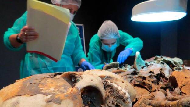 Del yacimiento al laboratorio