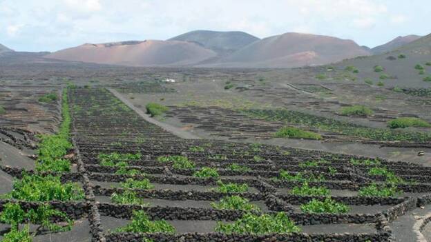 El enoturismo se cuela en los planes de verano