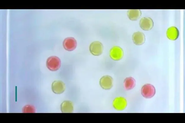 Científicos desarrollan “imanes” líquidos con gotas magnéticas