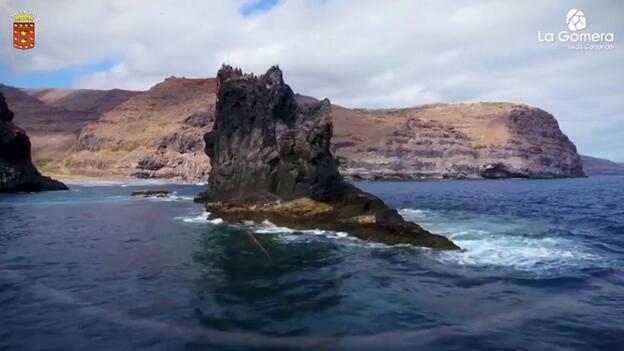 La Gomera organiza su primer concurso de fotografía submarina