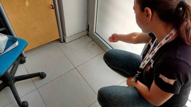 Salto del Negro sucumbe a la marabunta