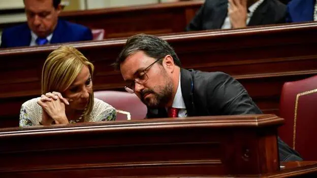 Antona dejará la presidencia del PP canario para irse al Senado