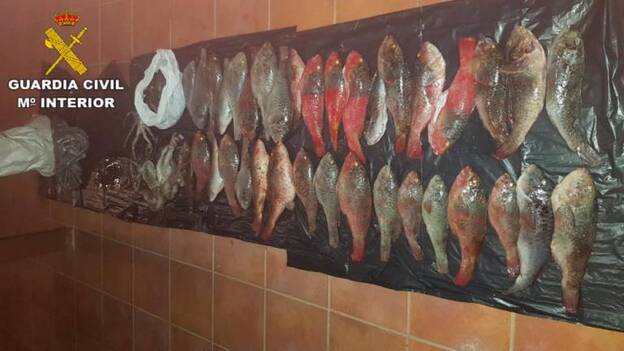 Denunciados por pesca ilegal y marisqueo