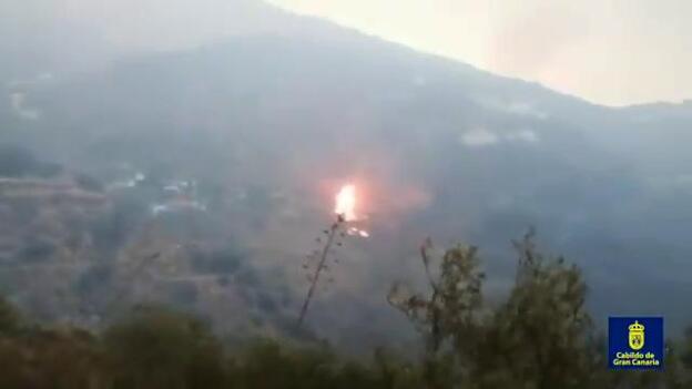 Se piden otros dos hidroaviones, operarán cuatro en total