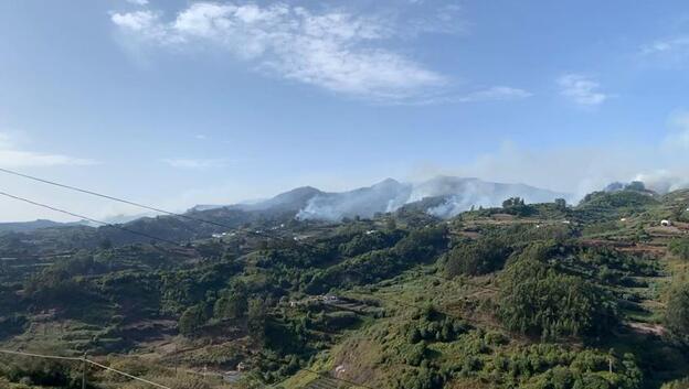 Experto confirma el desastre medioambiental, con 150 endemismos afectados