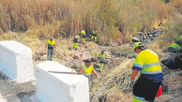 Mogán limpia a fondo sus barrancos