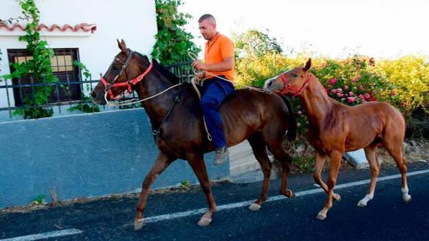 Las lágrimas de la vuelta a casa bañan la frustración de los que aún deben esperar