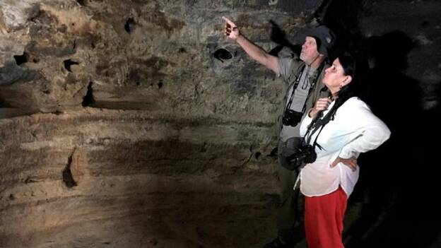 El fuego no afectó a las cuevas de Risco Caído