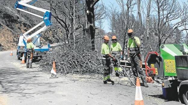 Riesgo de incendio en las medianías y cumbres