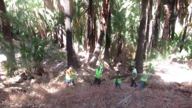 Limpieza de choque en los barrancos