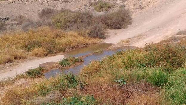 Cs lamenta nuevos vertidos fecales en Playa Blanca
