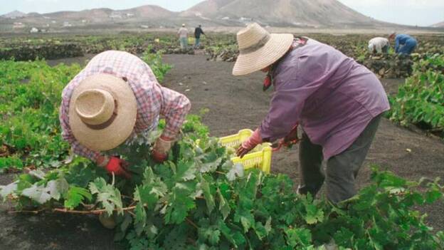 Convocado un certámen literario y fotográfico dedicado al vino