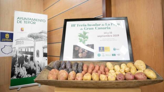 Teror acoge la Feria de la Papa