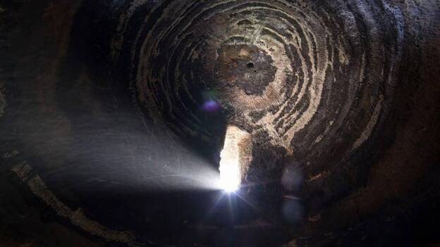 Emociones fotográficas petrificadas