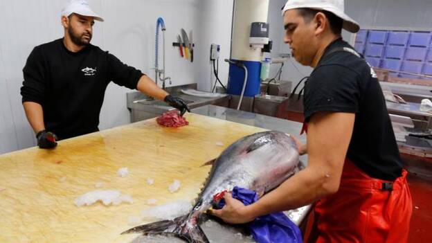 Las afiliaciones a la Seguridad Social alcanzaron nuevo tope el pasado mes