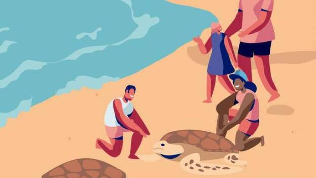 Suelta de tortugas en la Bahía de Sardina