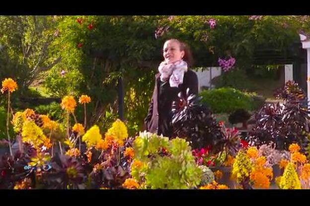 Televisión Canaria estrena ‘El Vuelo’ este miércoles