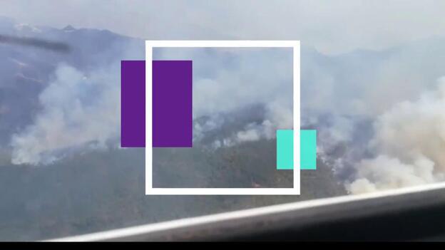 El Cabildo declara extinguido el incendio de agosto