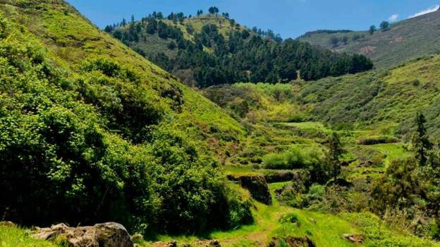 El antes y el después del incendio