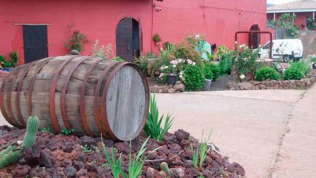 El Frontón de Oro, entre los mejores vinos, según The New York Times