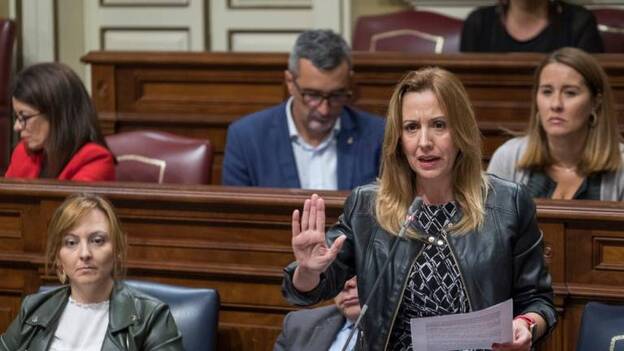 Dávila: «Canarias se defiende por encima de todo»