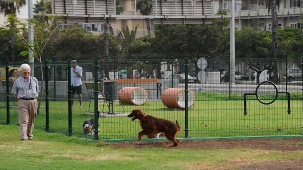 Guaguas admitirá perros de hasta siete kilos