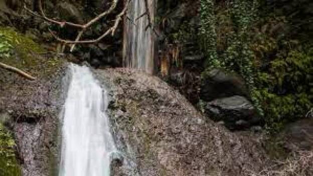 Grave tras precipitarse por un barranco en Telde
