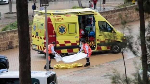 Fallece una mujer en Mallorca tras caerle una palmera por el fuerte viento