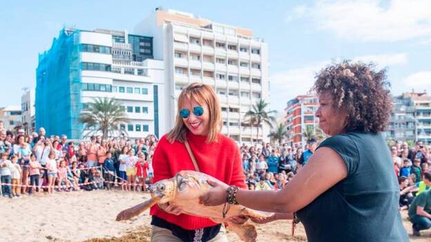 Suelta de tortugas en Las Canteras