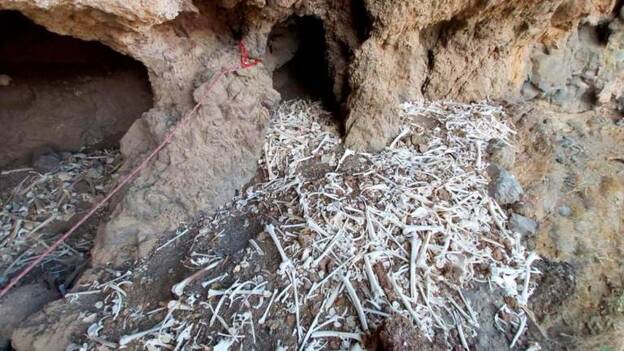 Expertos atribuyen el desorden de la cueva a rebuscas de hace un siglo