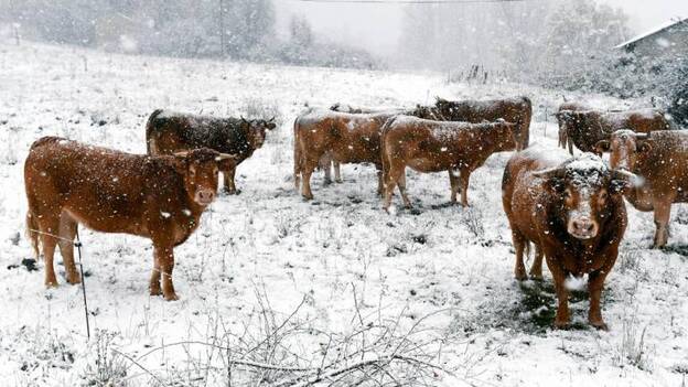 Aviso por oleaje en Canarias y nieve en la península