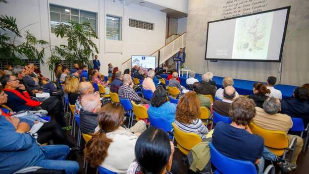 De los 85 árboles de Gran Canaria singulares, 40 necesitan mejoras
