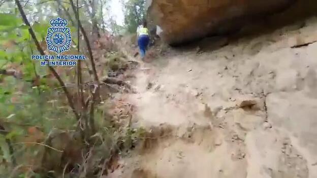 La Policía desmantela la mayor plantación de marihuana en Aragón