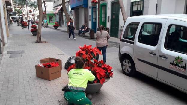 Contra el vandalismo, más flores de pascua