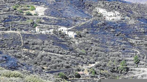 La lluvia se lleva el suelo quemado