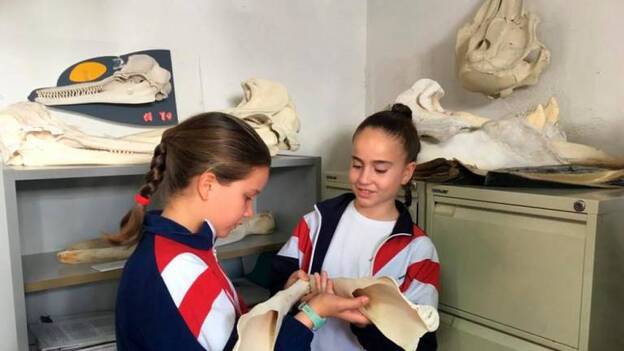 Creando pasión por los zifios