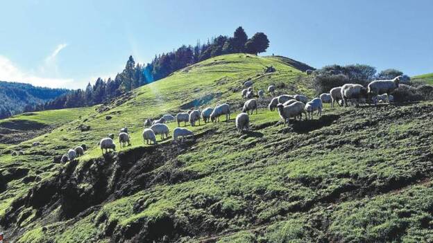 La belleza de la isla más natural