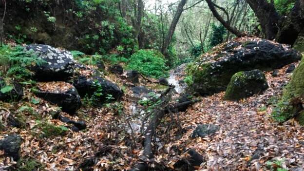 La niebla y un hilo de agua salvan por ahora a La Mina