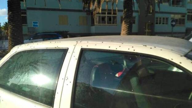 Los vecinos denuncian una plaga de moscas en Melenara