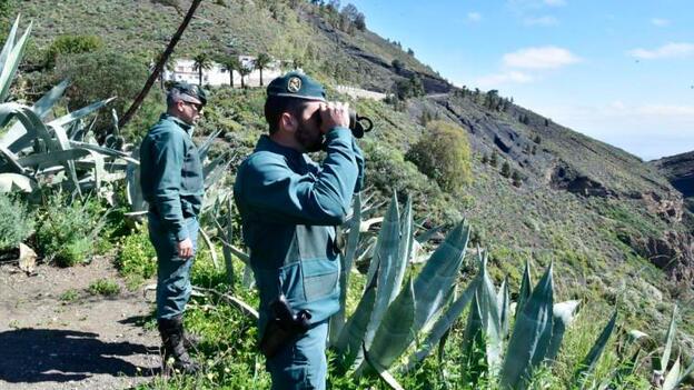 Abandonó a su perra en Garafía y murió envenenada