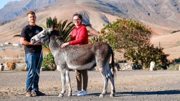 Un hogar para animales maltratados
