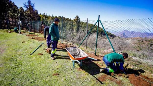El Cabildo arregla áreas de recreo y acampada dañadas por el fuego