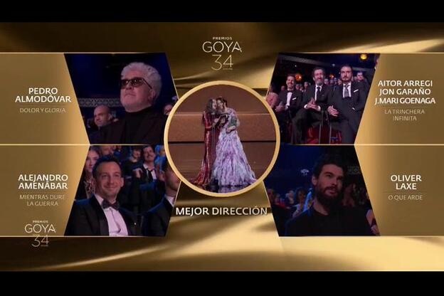 Almodóvar triunfa en los Goya celebrados en Málaga